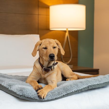 Staybridge Suites - Hillsboro North By Ihg Экстерьер фото