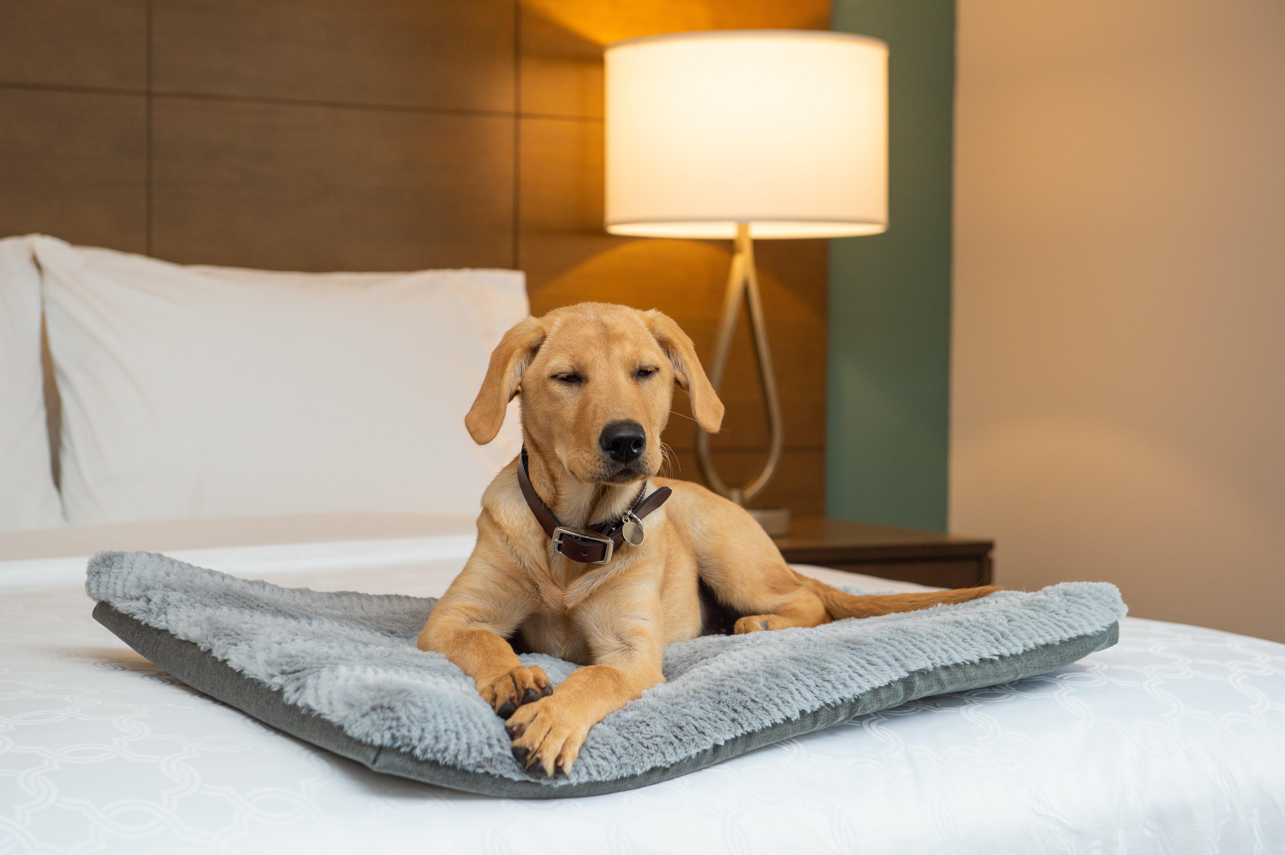 Staybridge Suites - Hillsboro North By Ihg Экстерьер фото